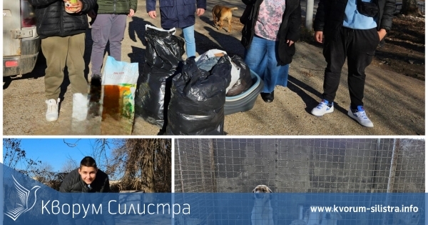 Коледен базар в ПЗГ "Добруджа" помогна на бездомните животни