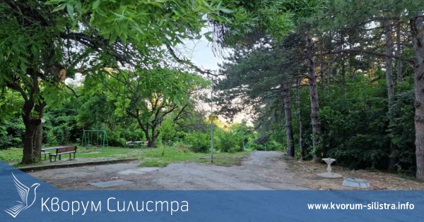 Времето в първия ден на годината