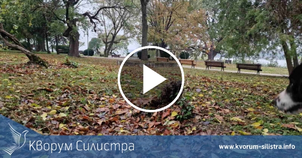 В четвъртък слънце и дъжд