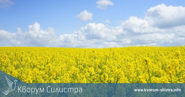Тръгва ли си рапицата от Добруджа