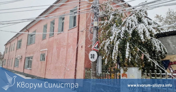 Студено време с валежи от сняг и снежни виелици очакват през следващите дни