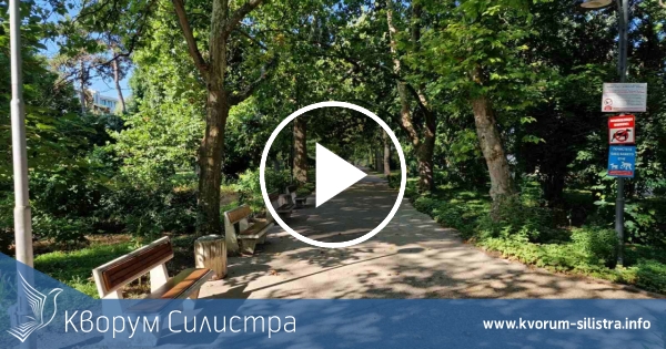 Слънчева сряда