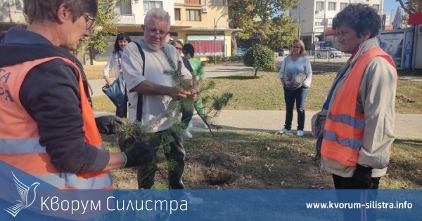 Инспекцията по труда в Силистра санкционира работодатели с над 339 хил. лв. за нарушения на трудовото законодателство