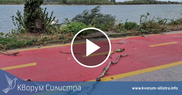 Жълт код за Силистра