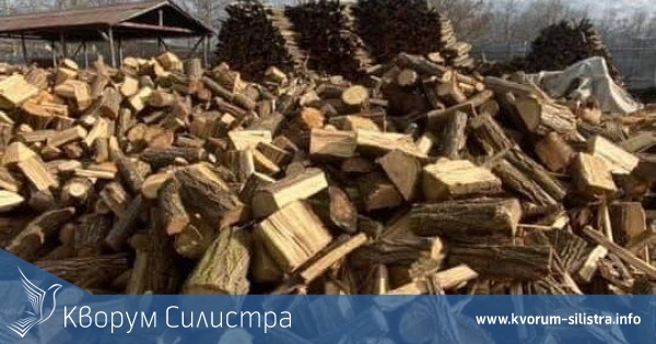 Община Силистра планира да изсече 480 куб. м дървесина през 2024 г.