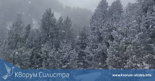 Януари си тръгва със сняг, вятър и студ