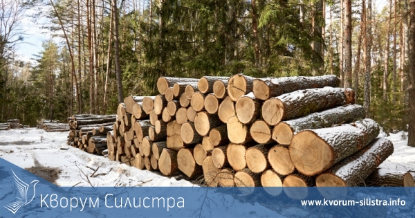 Община Главиница започва приемане на заявления за дърва за огрев