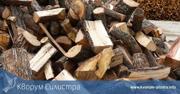 От 1 февруари Община Ситово приема заявки за закупуване на дърва за огрев