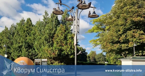 До 20 градуса във вторник