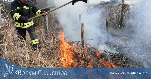 2 декара лозя изпепелени, 200 декара спасени