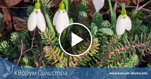 По-топла и ветровита неделя