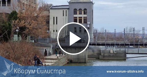 Видри конкурират рибари по Дунав при Силистра