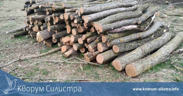 Дърва за огрев: Община Ситово започна доставка