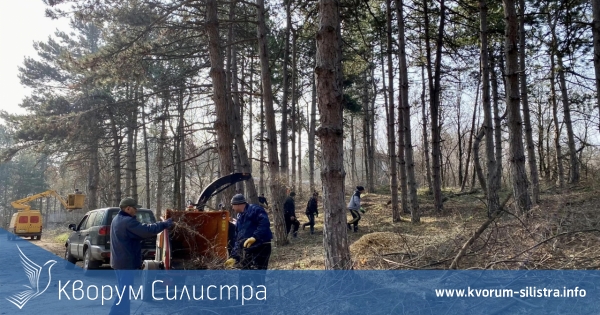 Започна санитарна сеч и прочистване около "Меджиди Табия"