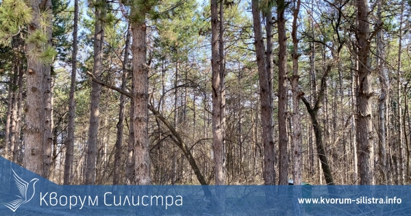 Кметът Сабанов кани жителите да помогнат с почистването около крепостта "Меджиди Табия"