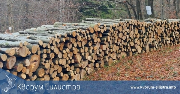 112 кубика незаконна дървесина иззеха инспекторите през февруари