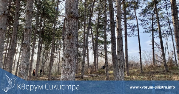 Слънчева неделя в Силистренско