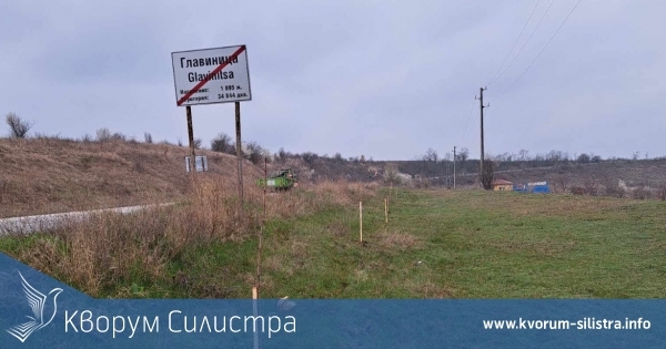 Залесяване в Главиница: Общински служители засадиха над 130 дръвчета