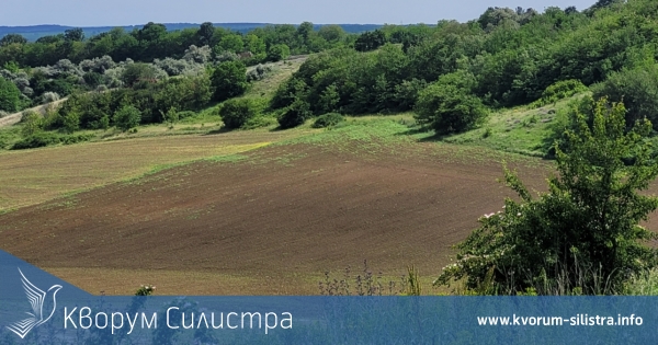 НАП продава 3 декара трета категория в землището на село Сребърна