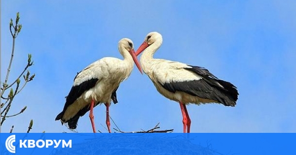 Времето на 20 март в Силистренско