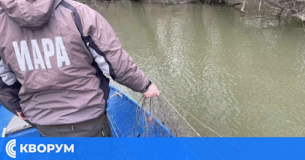 ИАРА извади 13 мрежи от река Дунав