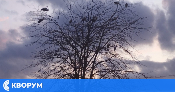 Облачен петък