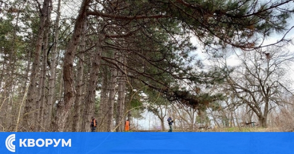 Кметът на Силистра: Кампанията за разчистване на Меджиди табия продължава