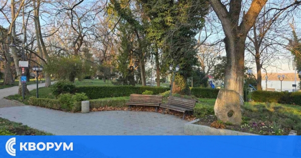 Слънчева събота