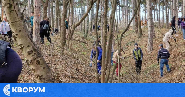 2 000 фиданки от вида Атласки кедър ще бъдат засяти около крепостта "Меджиди табия"