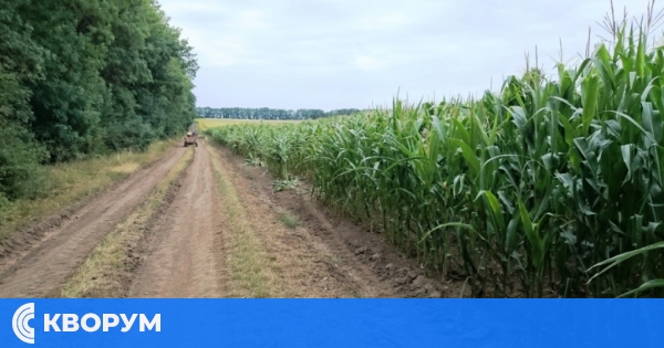 Областният управител атакува в съда наемната цена на полските пътища в Силистра