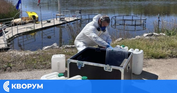 Против комарите: Активна кампания в Силистра