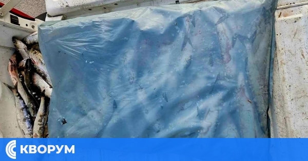 ИАРА в Тутракан: Бракониер глобен, 69 кг карагьоз конфискувани и дарени на Мюсюлманското настоятелство