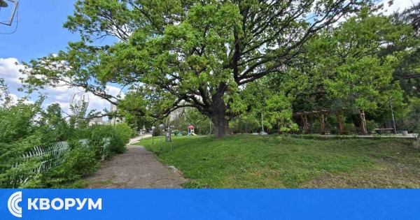 Времето през следващата седмица в Силистренско