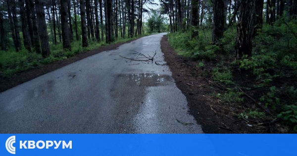 Дъждовен вторник