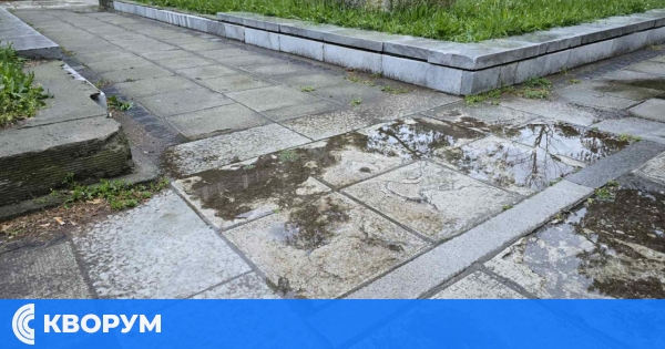 Обработката против комари в Силистра е отменена поради дъжд