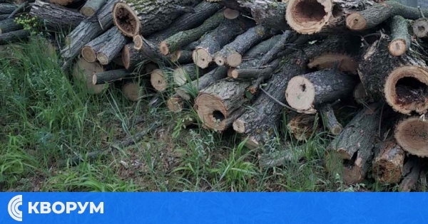 Внимание, жители на Ситово: Доставката на дърва за огрев се забавя!