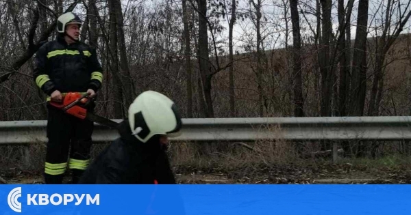 Пожар в сухи треви и паднало дърво са отстранени от екипи на РСПБЗН-Силистра