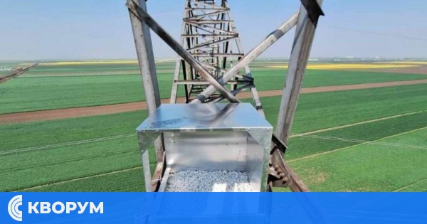 Изкуствени гнезда за застрашения ловен сокол поставят румънци в Добруджа