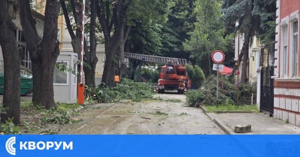 Почистиха улицата на съдебната власт в Силистра