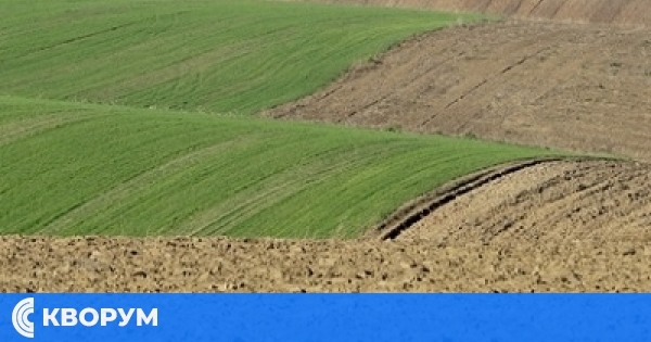 Община Главиница обявява търг за 2000 дка общински земеделски земи