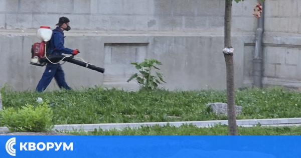 Предстояща дезинсекция на Централния градски mазар в Силистра