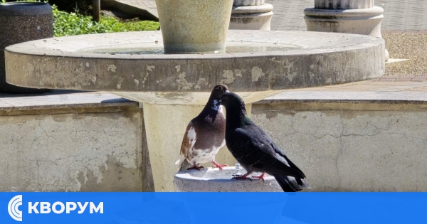 Слънчев и горещ петък