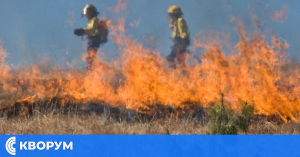 Жена глобена за подпалване на сухи треви, пожарникари спасяват 5 сгради