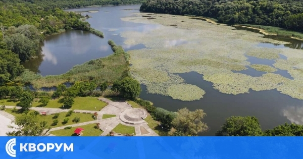 Празникът на водните лилии в Малък Преславец тази година е на 15 юни