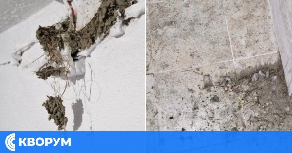 Обновеният градски пазар в Силистра посреща посетителите с нови тоалетни, но с разрушено лястовиче гнездо