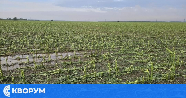 Градушка унищожи посевите в съседния на Силистра окръг Кълъраш