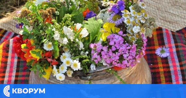 С билки и песни на Еньовден в Силистра