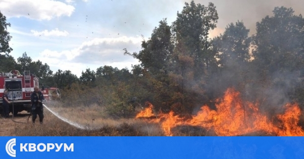 Два бързи пожара в сухи треви са потушени в Силистренско