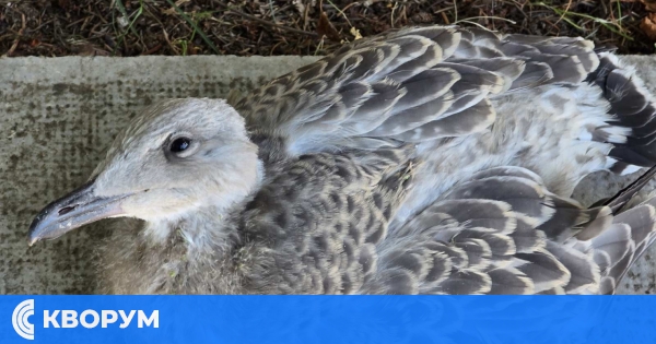 Слънчева и гореща събота