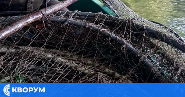 Незаконни риболовни уреди иззети от река Дунав